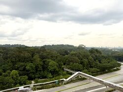 Bukit Timah Shopping Centre (D21), Office #533713101